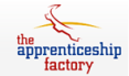 the apprenticeship factory
